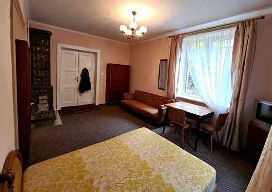 Оренда 1- кімнатної квартири біля площі Петрушевича Центр Львова Львов