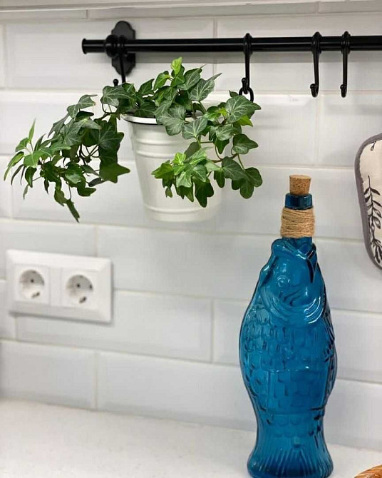 Оренда двокімнатної  квартири в ЖК  ЖБ Z-119 Львів Львов - изображение 7