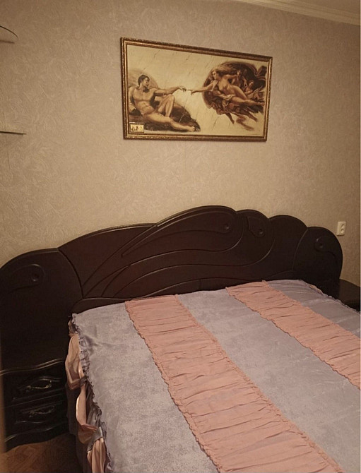 Сдам 3к квартиру 9000 грн Соцгород Sosn Каменское (Запорожская обл.) - изображение 8