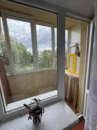 Здам,однокімнатні квартиру на Червоній горі Бердичів