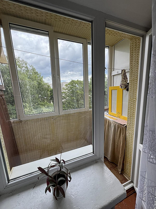 Здам,однокімнатні квартиру на Червоній горі Бердичев - изображение 4