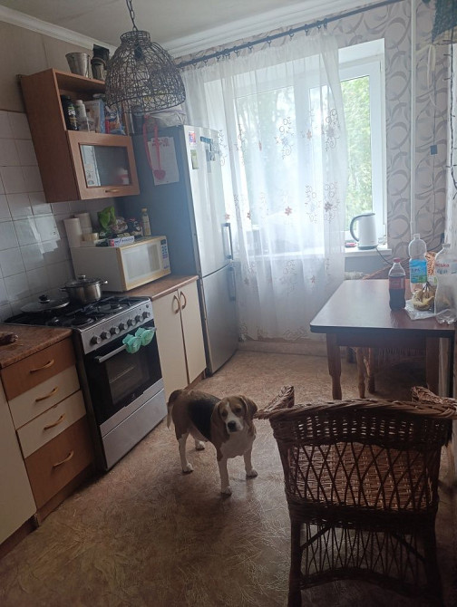 Квартира 3кімнатна р-н Оксамит Гетьманська 43 Самары - изображение 6