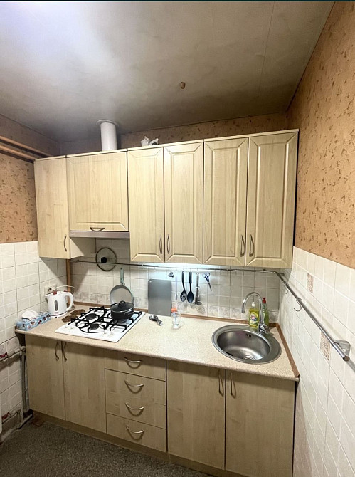 1к Троицкая 20, Центр, небольшое животное обсуждается Днепр - изображение 8