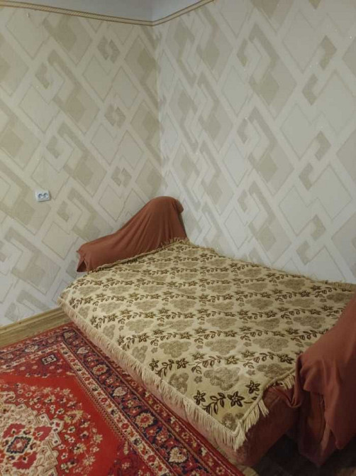 Аренда 1к квартиры пр. Мира Миколаїв - зображення 1