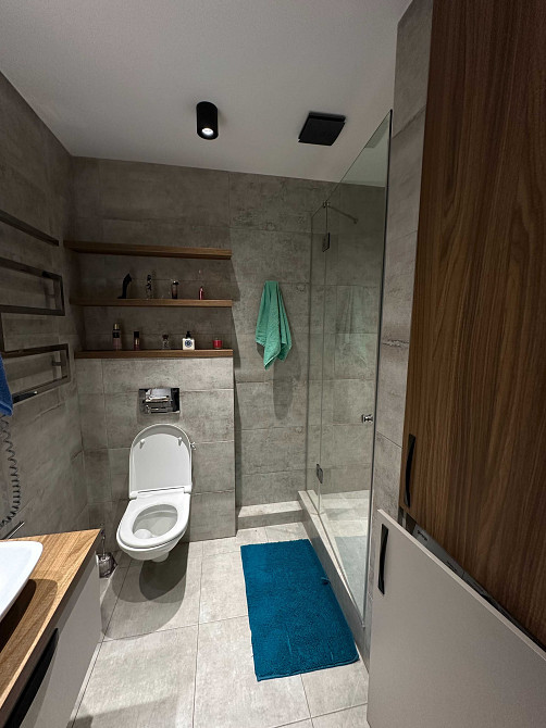 Оренда 1к квартири Печерськ центр  Київ Київ - зображення 8