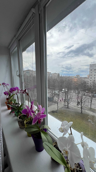 Продам простору 3 кімнатну квартиру. Ровно - изображение 6