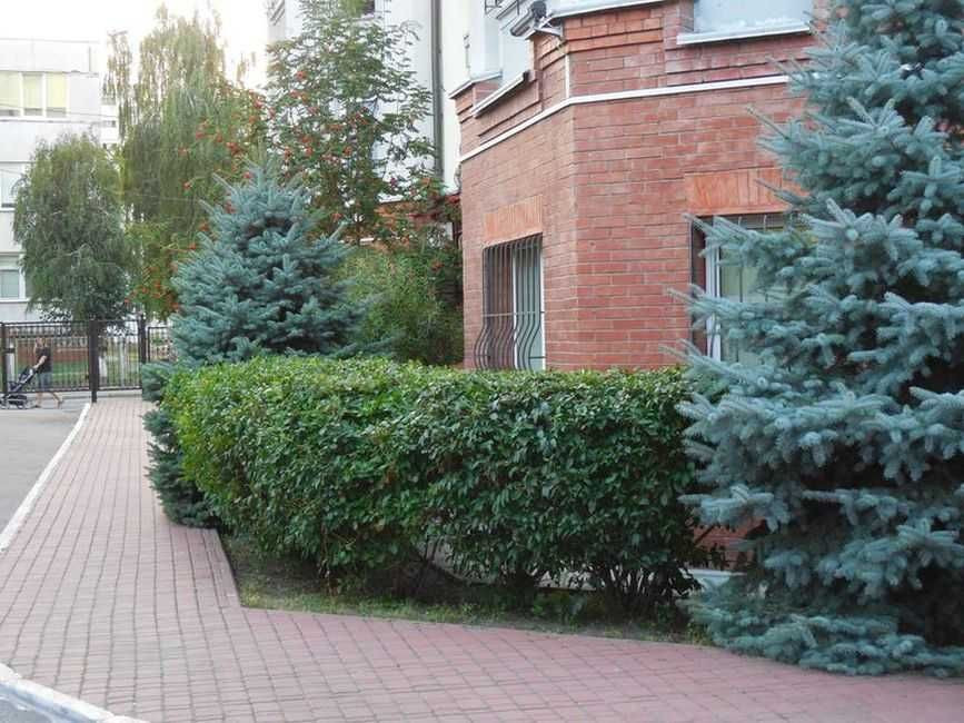 Без % - велика 2-к з євроремонтом  в клубному будинку на Пріорській 10 Київ - зображення 4