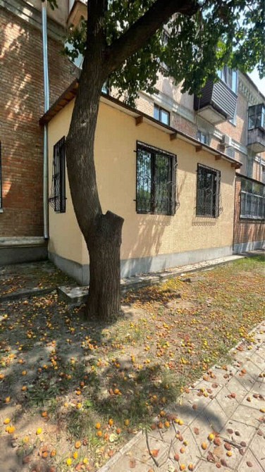 Продам 3х комнатную квартиру в районе Площади Кам`янське (Нікопольський р-н) - зображення 1