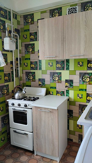 здам 1к квартиру м.камянське Каменское (Запорожская обл.) - изображение 5