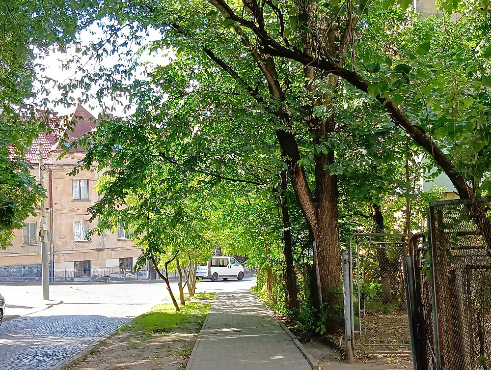 Продаж 1 кім. квартири у Львові ( ближній центр) Львов - изображение 4