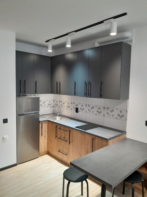 Оренда квартира студія в. Бігова 12 тис грн Львов - изображение 4