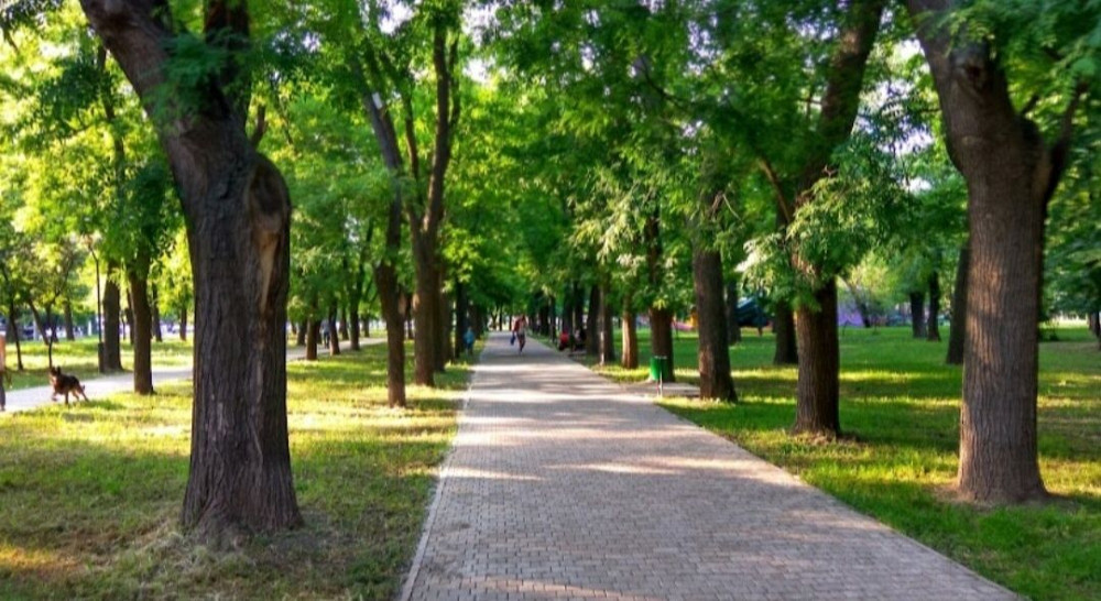 2 комнатная квартира. Фонтан. Парк. Общая 46 метров. Средний этаж. Одесса - изображение 7