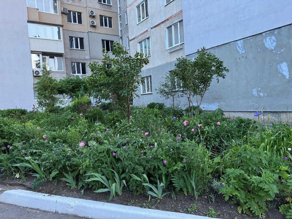 Продам свою однокімнатну квартиру вул. Н.Ужвій, 92 Харьков - изображение 3