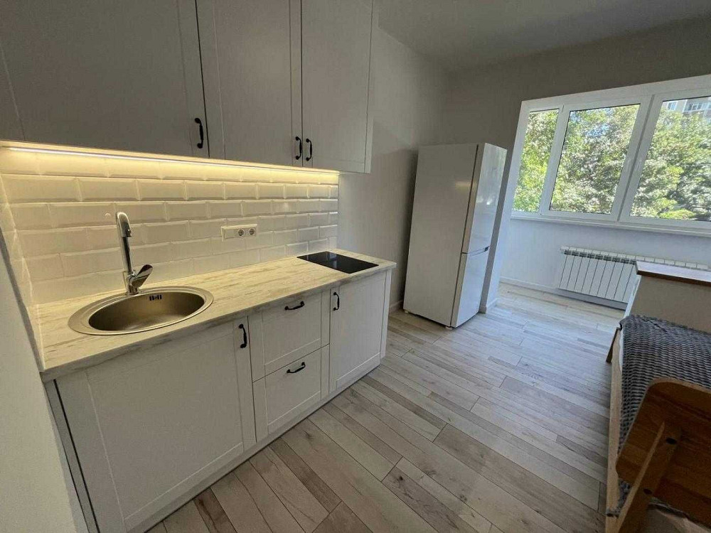 1 кім, Академіка Ефремова 27, метро Академмістечко 12 хв пішки Київ - зображення 8