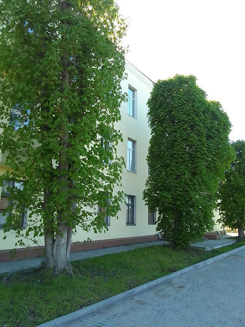 Аренда Сдам Студия Красивая Чистая Уютная район Воронцов Дніпро - зображення 6