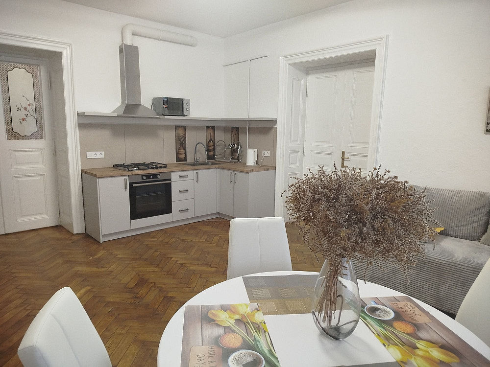 Оренда 2 кімнатної квартири: кухня-студія+ спальня Львів - зображення 8