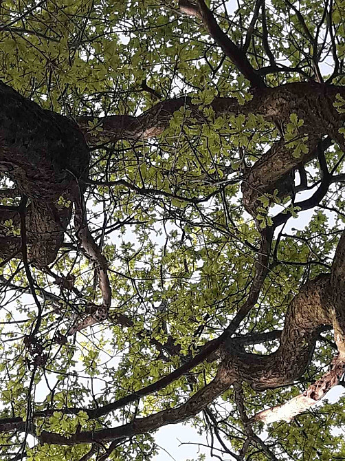 Сдам 1 комнатную квартиру ближайшее метро Бориспольская харьковская Київ - зображення 7