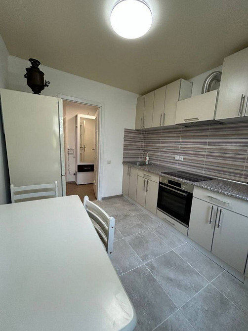 Можно с маленькой собакой! Ярослава мудрого 16 центр набережная Днепр - изображение 1