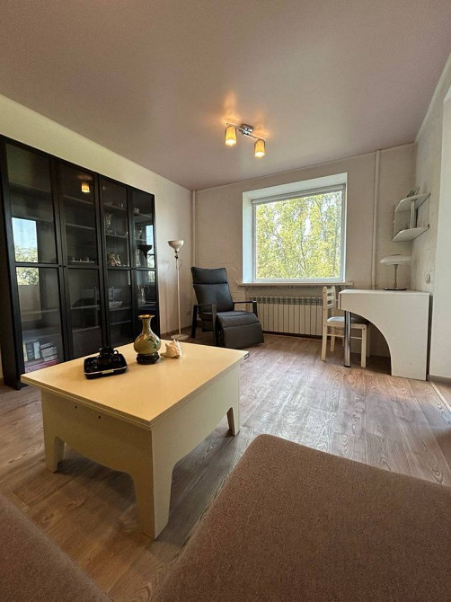 Можно с маленькой собакой! Ярослава мудрого 16 центр набережная Днепр - изображение 2