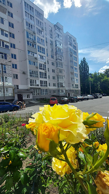 Оренда 1-кімнатної квартири в новобудові вул. Жабинського Чернигов - изображение 2