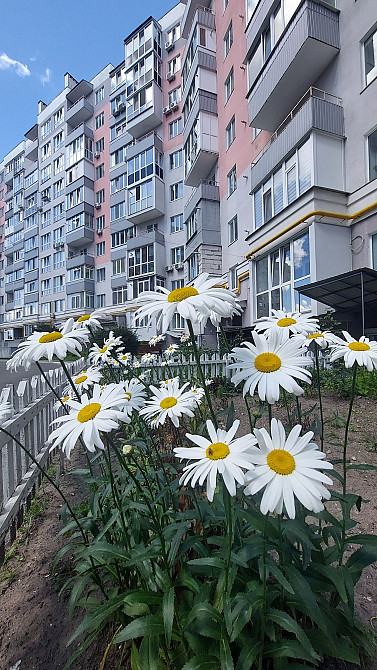 Оренда 1-кімнатної квартири в новобудові вул. Жабинського Чернигов - изображение 1