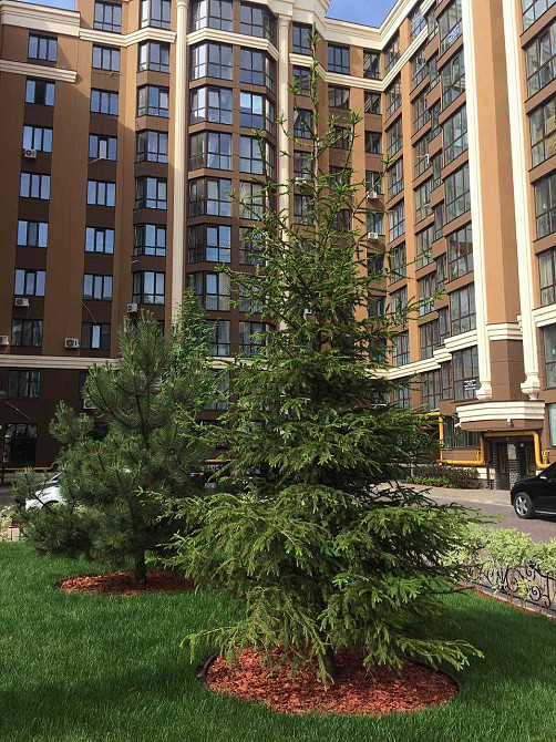 ‼️РОЗСТРОЧКА‼️ Продам 2к квартиру 57 м2 ЖК Софія Резиденс Резиденція Софиевская Борщаговка - изображение 5