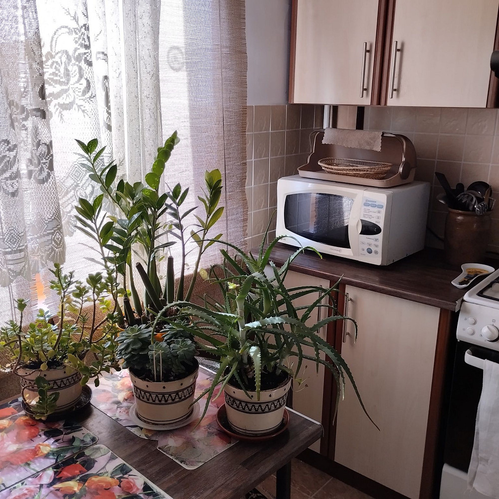 Сихів,вул.Довженка,дві ізольвані-12000грн. Львов - изображение 3