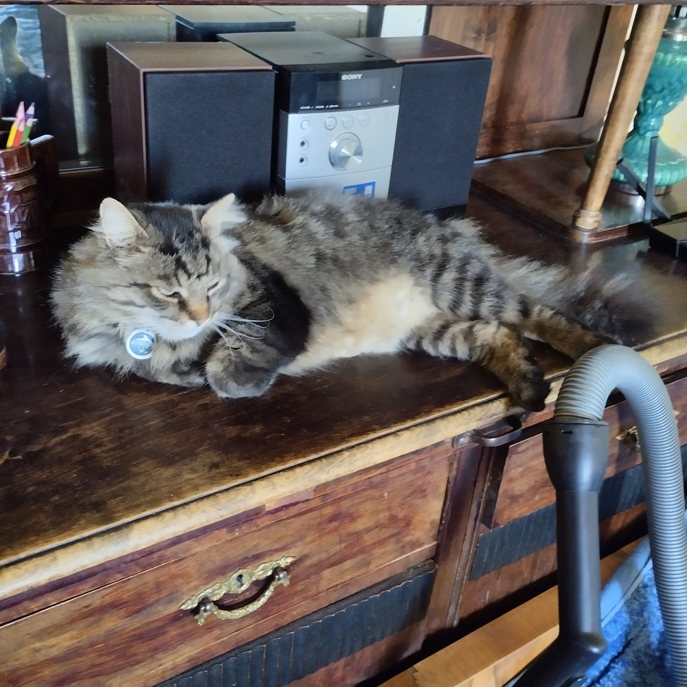 Сихів,вул.Довженка,дві ізольвані-12000грн. Львов - изображение 8