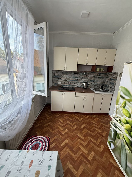 Сдам в оренду 1к велику квартиру можна з дітьми і собачкою Ирпень - изображение 1