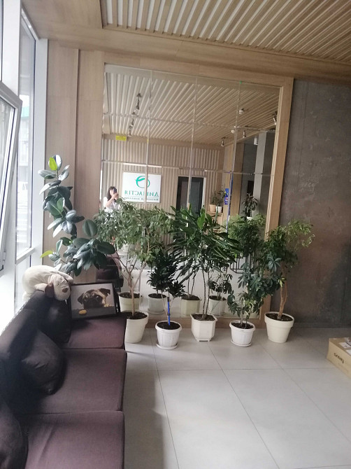 Продам однокімнатну квартиру в ЖК Династія вул Василя Липківського 37б Київ - зображення 3