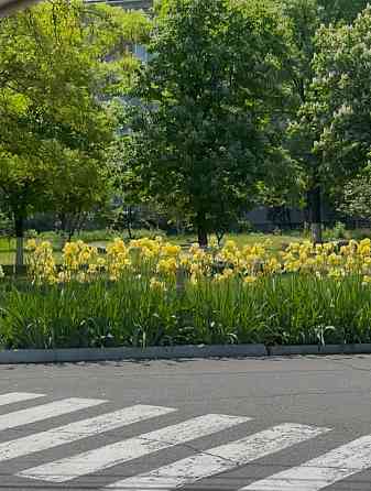 Продам 5-комнатный пентхаус с видом на лиман  (147-535) Таїрове