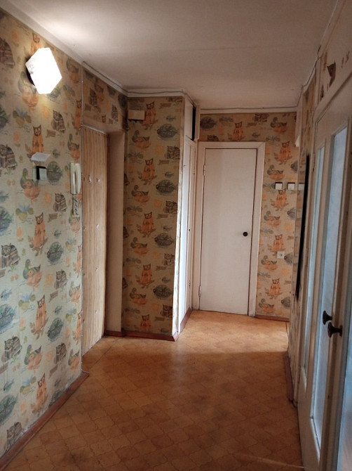 Здам квартиру без посередників. Киев - изображение 2