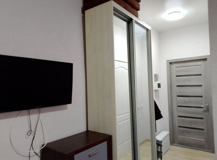 Новая студия Коннная/Новый рынок, кондиционер,смарт тв, можно животн Одеса - зображення 8