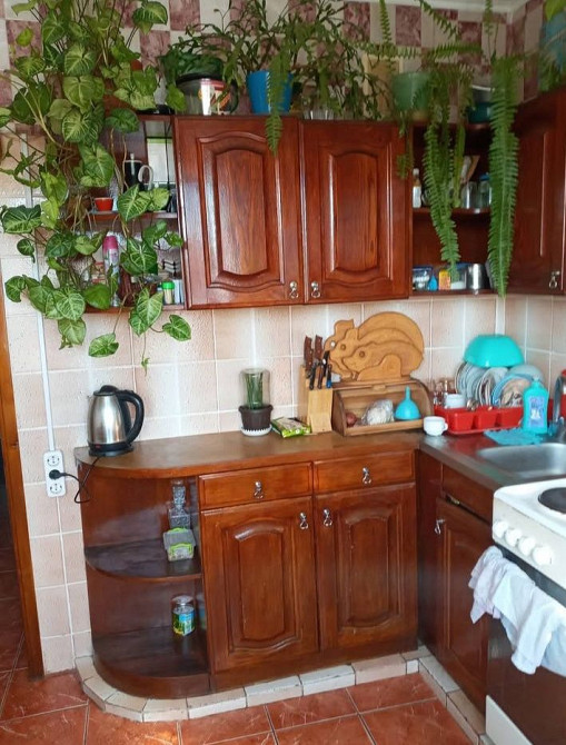 Здам квартиру в Кропивницькому Кропивницький - зображення 8