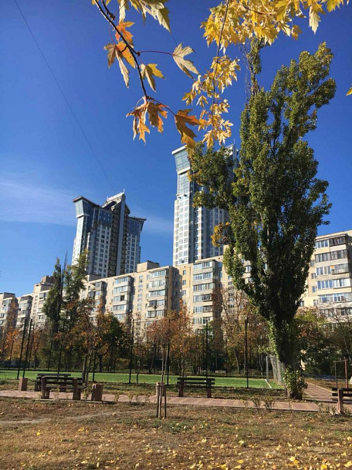 Сдам в аренду однокімнатну квартиру Березняки , п-т Павла Тичини 1 Киев - изображение 1