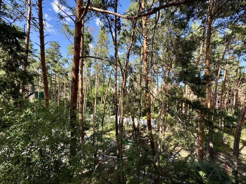 Продаж 3 к.квартири вихід сосновий ліс, пляж, річка, Козин Конча-Заспа Козина - зображення 6