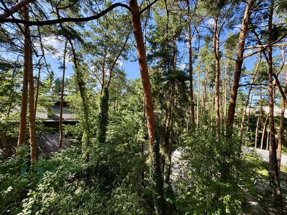 Продаж 3 к.квартири вихід сосновий ліс, пляж, річка, Козин Конча-Заспа Козина - зображення 7