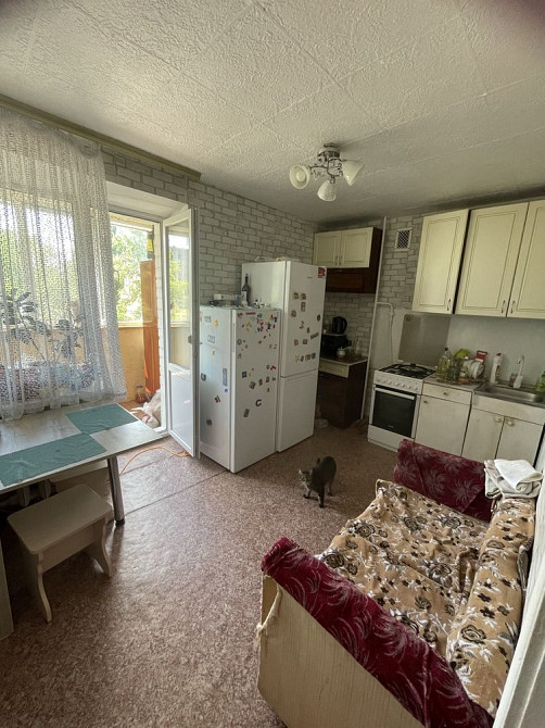 Однокімнатна велика квартира Новоселівка - зображення 6