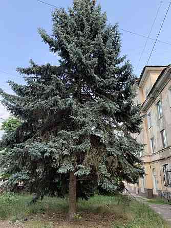 3кім. СТАЛІНКА на зупинці СТАВКИ. Можна заселятись. ЄВІДНОВЛЕННЯ можна Кривой Рог