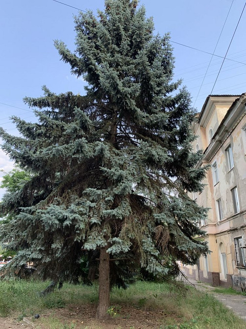 3кім. СТАЛІНКА на зупинці СТАВКИ. Можна заселятись. ЄВІДНОВЛЕННЯ можна Кривой Рог - изображение 1