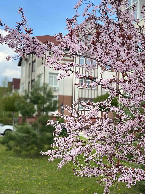 Гаряча пропозиція! Житловий Комплекс «Ренесанс», Великий Луг Запоріжжя - зображення 1