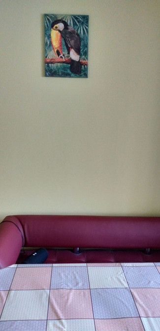 От хозяйки!  2-комнатная видовая чешка на Солнечном Дніпро - зображення 6