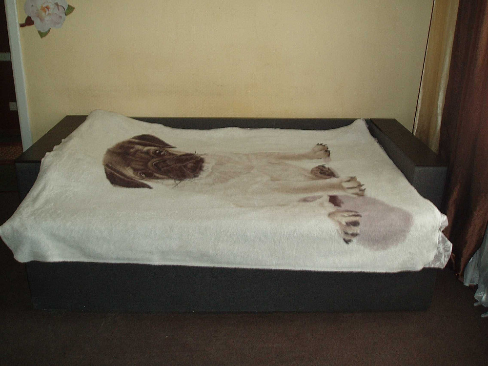 Аренда 1к.кв. Пр.Берестейський 80/57  Хазяйка  Без комісії Киев - изображение 3