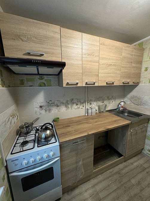 2К Первая сдача Красный Камень можно с животными Дніпро - зображення 4