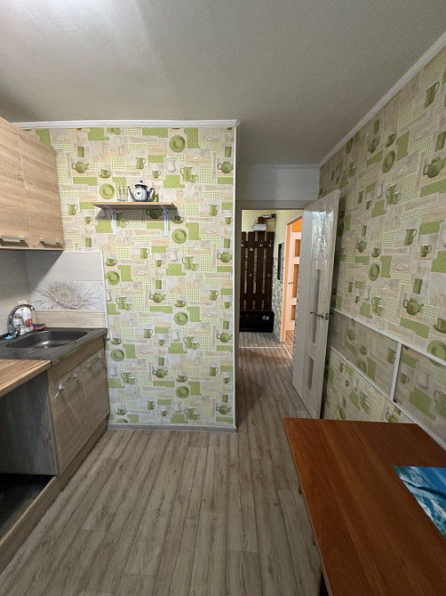 2К Первая сдача Красный Камень можно с животными Дніпро - зображення 6