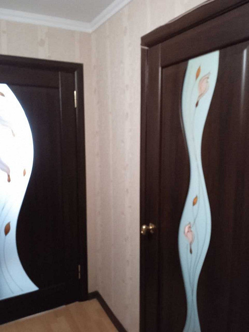 Продам 1-кімнатну квартиру в смт. Васильківка. Васильківка (Дніпропетровська обл.) - зображення 2