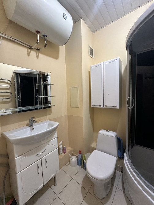 Срочно сдам 1-комнатную студию ! Степне (Полтавська обл.) - зображення 7