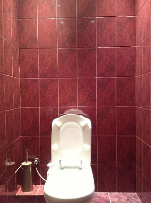 Продам 3-комнатную квартиру возле Парка Горького, ул. Мироносицька 91 Харьков - изображение 5