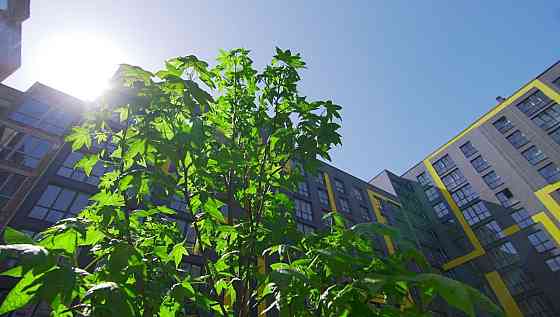 Апартаменти на виплату з першим внеском 30%. ЖК ШЕНГЕН Львов