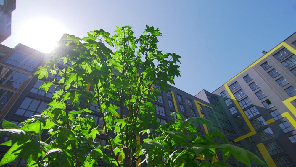 Апартаменти на виплату з першим внеском 30%. ЖК ШЕНГЕН Львов - изображение 5